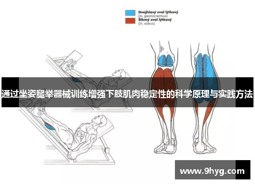 通过坐姿腿举器械训练增强下肢肌肉稳定性的科学原理与实践方法