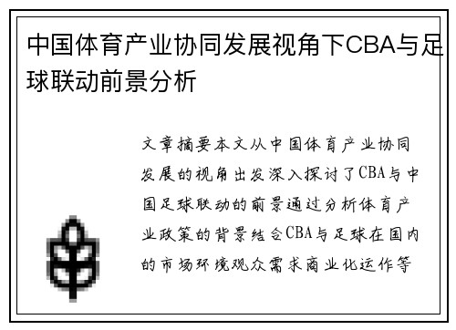 中国体育产业协同发展视角下CBA与足球联动前景分析